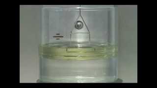 Interfacial Tension Test using a Du Nouy Ring [upl. by Huldah992]