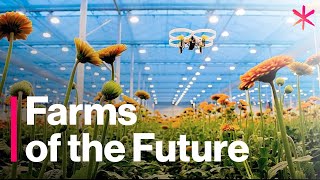 The Futuristic Farms That Will Feed the World  Freethink  Future of Food [upl. by Evetta]