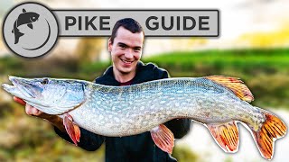 A Beginners Guide To Pike Fishing  Tactics Bait Lures Rigs and Unhooking [upl. by Annaliese]