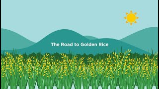 The Road to Golden Rice [upl. by Cottrell]