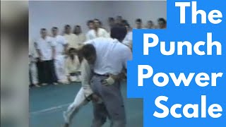 Why Brazilian Jiujitsu BJJ Works  The quotPunch Power Scalequot [upl. by Ajnin433]