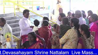 StDevasahayam Shrine Nattalam [upl. by Gunn935]