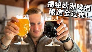 啤酒酿造这么简单？工业啤酒竟可以加大米？获奖酿酒师教你啤酒酿造全过程 How to brew European CRAFT BEER 4k [upl. by Arreip925]