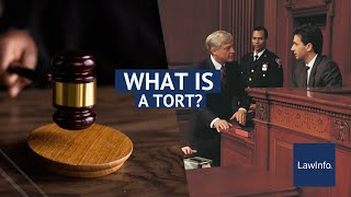 What Is a Tort  LawInfo [upl. by Brunhilde]