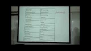 INTRO TO HUMAN ANATOMY PART 2 by Professor Fink [upl. by Daron]