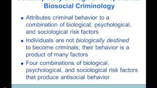 Theories of Criminology Dr A Black [upl. by Gustafson844]