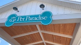 Pet Paradise Virtual Tour  Boarding • Day Camp • Veterinary Care • Grooming [upl. by Napra37]