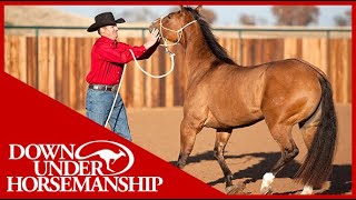 Clinton Anderson Correcting Mouthy Horses  Downunder Horsemanship [upl. by Neira]