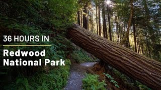 36 Hours in Redwood National Park Exploring the Best Hikes Groves and Trees [upl. by Zilada]