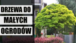 Najładniesze drzewa do małych ogrodów [upl. by Hauck]