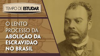 O lento processo da abolição da escravidão no Brasil l Tempo de Estudar  História  8º ano [upl. by Iddo]