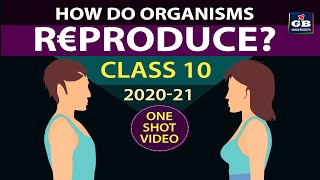 How do organisms Reproduce class 10 fullchapter  Class 10th CBSE biology  ncert class 10 science [upl. by Gayle]