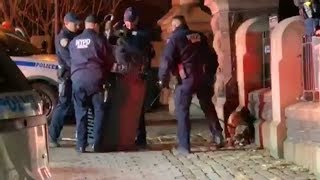 Loose pit bull attacks police officer in Manhattan [upl. by Glass]