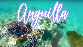 Anguilla Snorkeling and Beaches [upl. by Conah317]