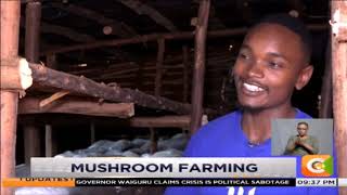 SMART FARM  Mushroom Farming [upl. by Jacintha]