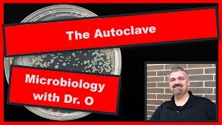 Autoclave Microbiology [upl. by Onaivatco]