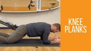 The Knee Plank  Plank Progressions [upl. by Esyle]