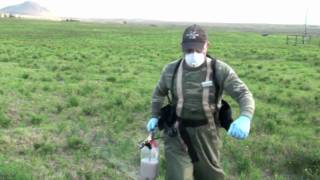 New Herbicides in Fireweed Management [upl. by Adnolat960]