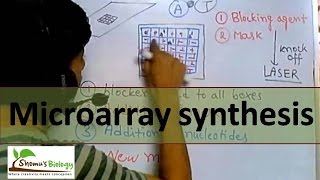 DNA Microarray synthesis [upl. by Mendel]