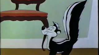 Pepe Le Pew chasing scene [upl. by Otreblide]