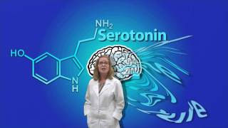 Neurotransmitters and Their Functions [upl. by Claman777]