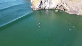 Surfers at Yaquina headAgate Beach Newport Oregon [upl. by Yearwood933]