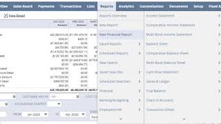 NetSuite  Financial Reports Overview [upl. by Novah]