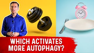 Autophagy Exercise vs Fasting [upl. by Lorsung]