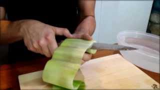 Cucumber Sushi Roll Recipe  Japanese Food Recipe [upl. by Nnyllatsyrc173]