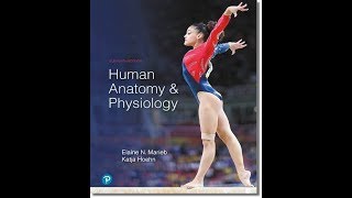 Dr Edwards Lecture Chapter 1  Introduction to Human Anatomy amp Physiology  Part A [upl. by Gish]