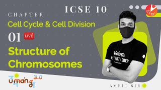 Cell Cycle and Cell Division L1  Structure of Chromosomes  ICSE 10 Biology  Umang 2021 Vedantu [upl. by Trometer]