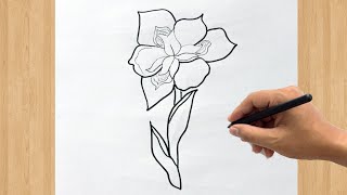 How to Draw an Iris Flower  Easy Step by Step Iris Drawing Tutorial [upl. by Lleze894]