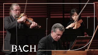 Bach  Harpsichord concerto in F minor BWV 1056  Henstra  Netherlands Bach Society [upl. by Joacimah]