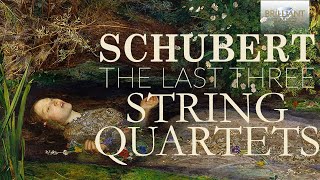 Schubert The Last Three String Quartets [upl. by Knepper]