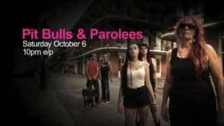 Pit Bulls amp Parolees  Extended Trailer [upl. by Acnayb311]