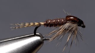 Phat and Phunky Pheasant Tail Nymph [upl. by Carry958]