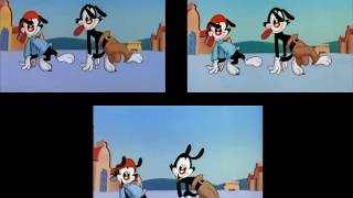 Animaniacs Intro Comparison All seasons [upl. by Vacla]