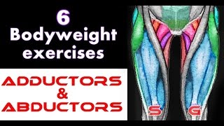 6 Bodyweight Exercises for Adductors amp Abductors [upl. by Cecile1]