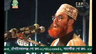 Delwar Hossain Sayeedi Allah Siristir Bishalota [upl. by Anika]