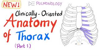 ClinicallyOriented Anatomy of the Thorax part 1 [upl. by Yesnel]