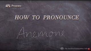 How to Pronounce Anemone [upl. by Atokad]