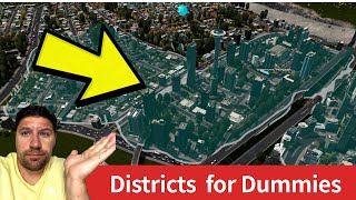 Explaining Each District and Zoning  Cities Skylines Districts Guide 2022 [upl. by Nylitak704]