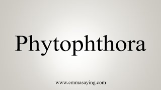 How To Say Phytophthora [upl. by Jackelyn395]