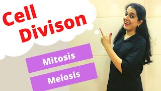 Cell Division Mitosis and Meiosis ICSE Class 10 Biology [upl. by Ffoeg]