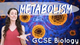 Metabolism  GCSE Biology [upl. by Ellimak525]