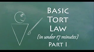 Understand Tort Law in 17 Minutes Part I [upl. by Anomas]