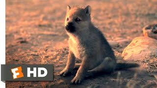 Alpha 2018  Wolf Puppies Scene 1010  Movieclips [upl. by Beard]