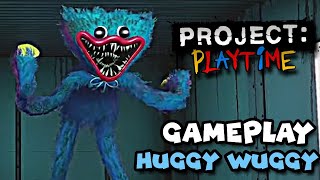 Project Playtime  Huggy Wuggy Gameplay [upl. by Akinat]