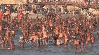 Best of Allahabad Kumbh mela  Worlds largest religious gathering [upl. by Pepita507]