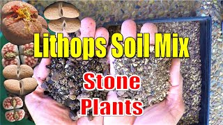 How to make LITHOPS Soil Mix  Growing Succulents with LizK [upl. by Eirffej]